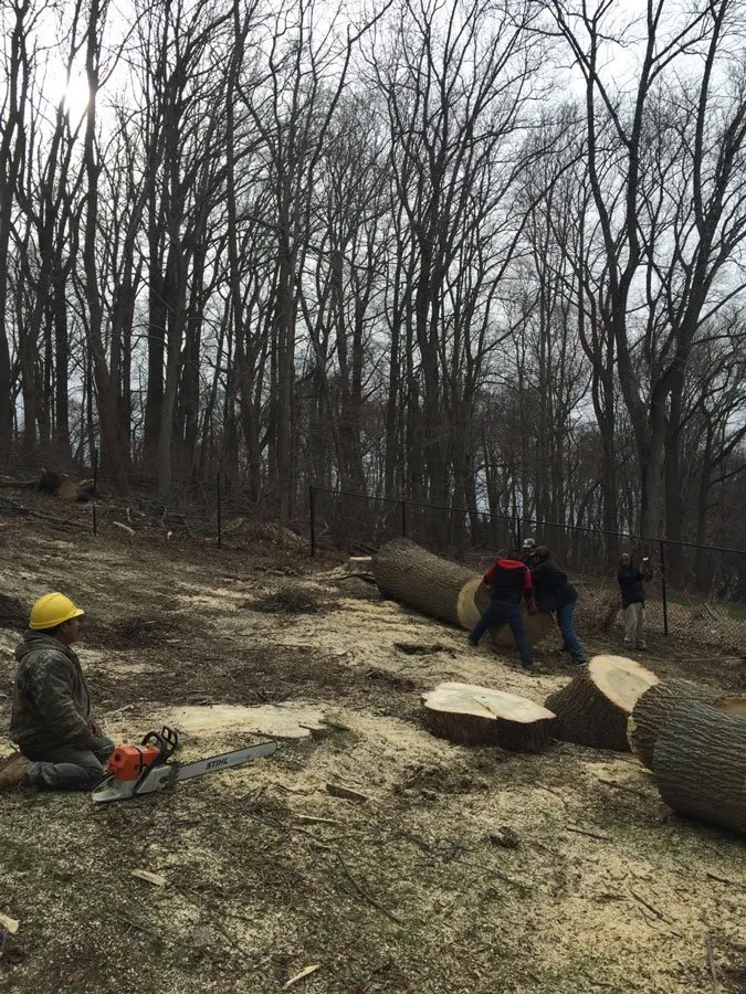 Local lawn care service in Morganville, NJ by G & J Star Tree Service