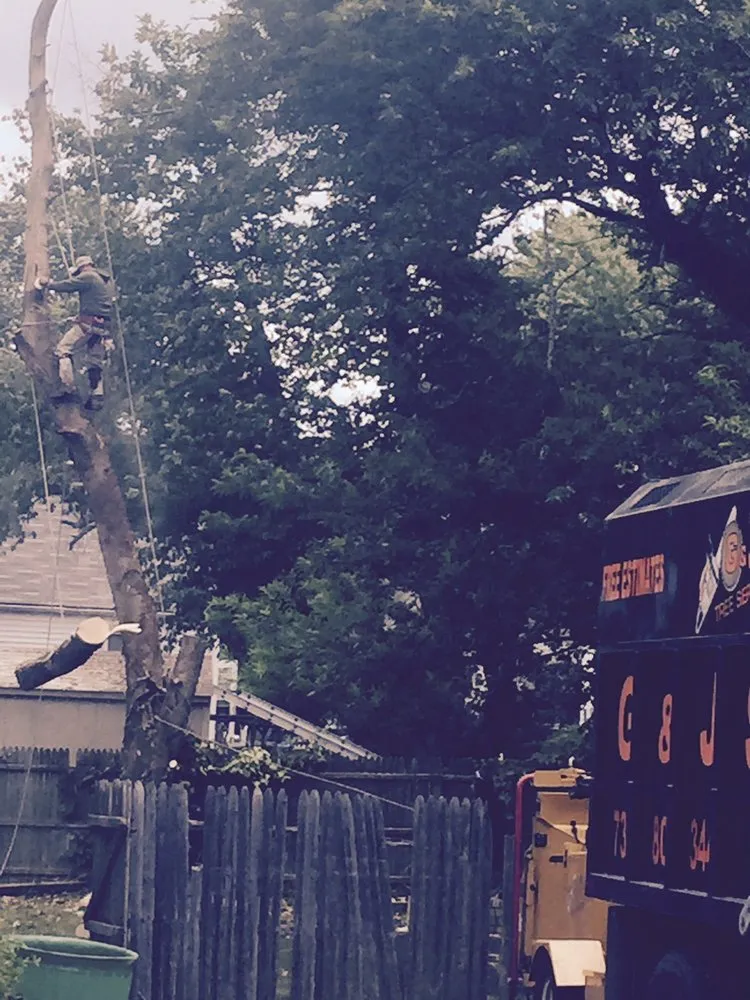 Affordable yard maintenance for beautiful yards across Morganville, NJ - G & J Star Tree Service