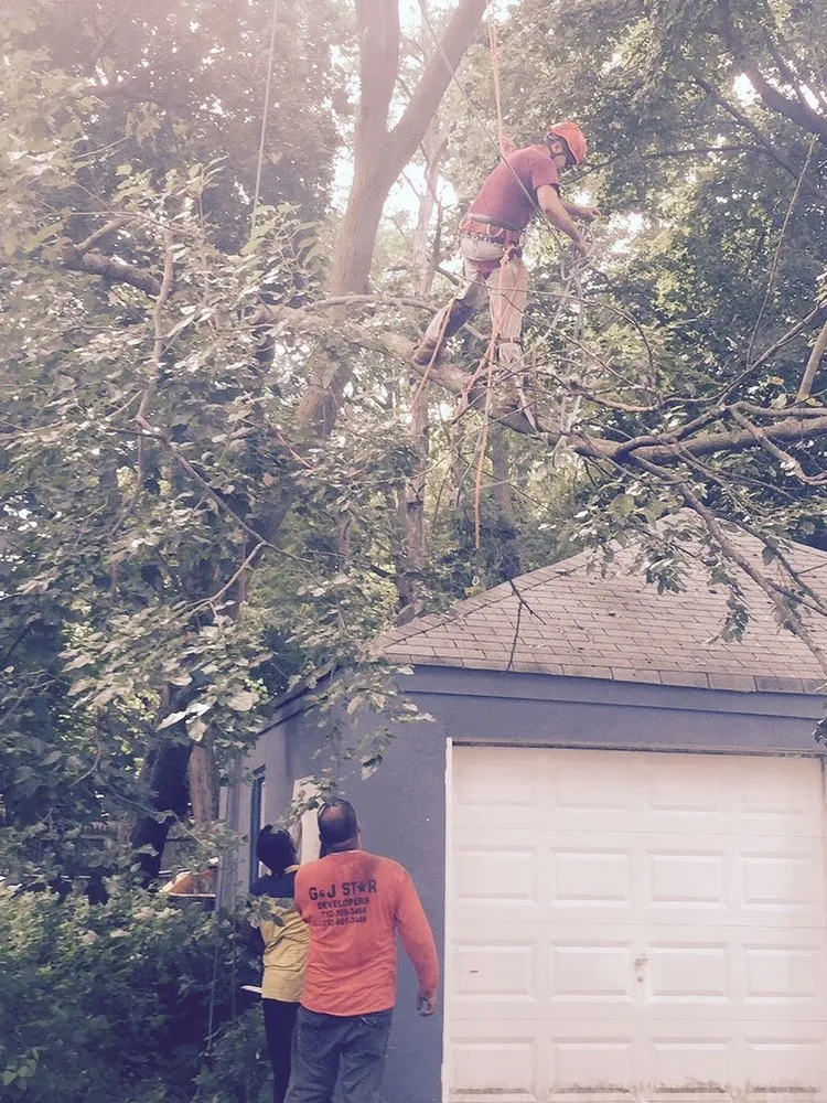Custom landscape installation in Morganville, NJ by G & J Star Tree Service