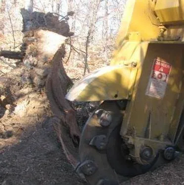 Trusted yard cleanup service experts serving Fairfax, VA - G & J Tree and Stump Total Landscaping Care