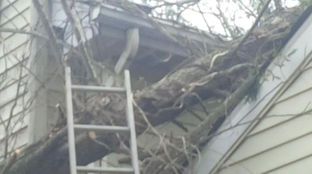 Custom garden landscaping experts serving Fairfax, VA - G & J Tree and Stump Total Landscaping Care