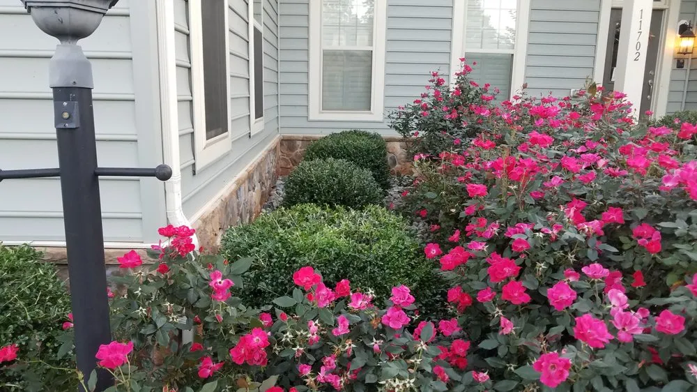 Local yard maintenance for residential properties in Fairfax, VA by G & J Tree and Stump Total Landscaping Care
