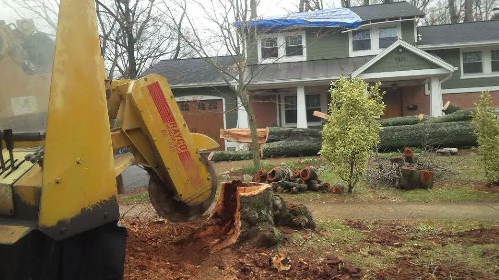 Local landscape design experts serving Fairfax, VA - G & J Tree and Stump Total Landscaping Care