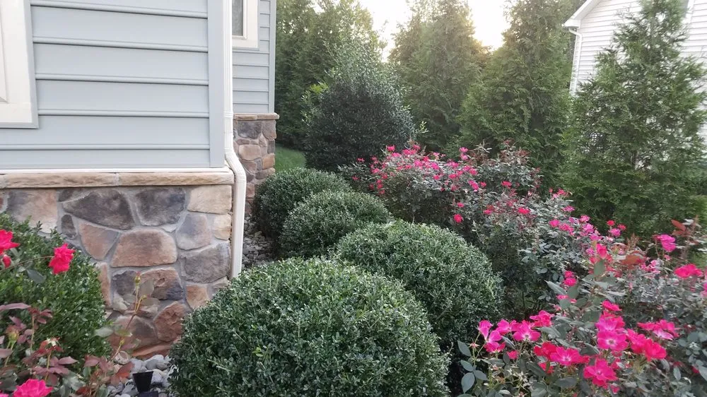 Custom yard cleanup service in Fairfax, VA - G & J Tree and Stump Total Landscaping Care