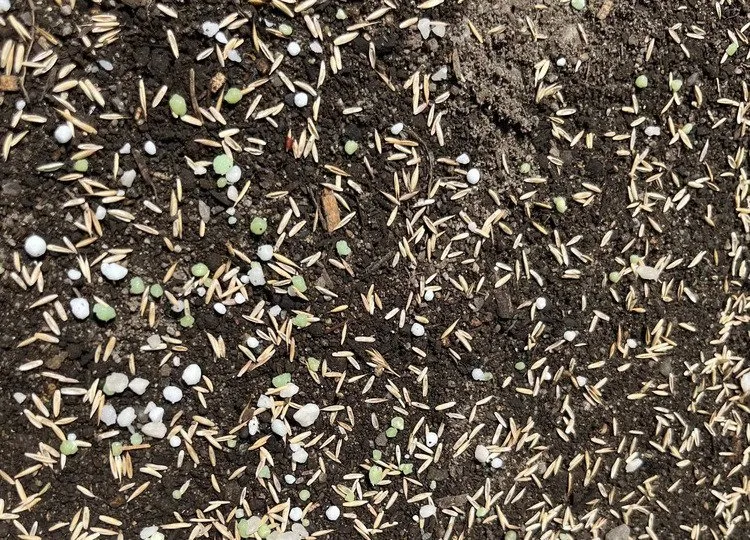 Reliable landscaping services in Spanaway, WA by G & L Bark Supply