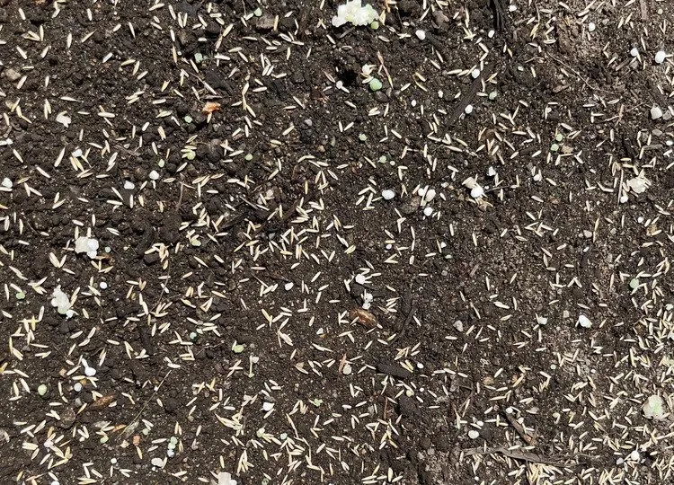 Top-rated lawn care service in Spanaway, WA - G & L Bark Supply