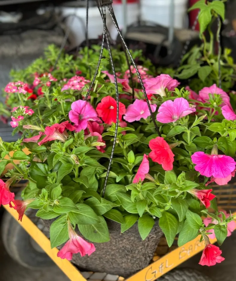 Reliable yard maintenance experts serving Spanaway, WA - G & L Bark Supply