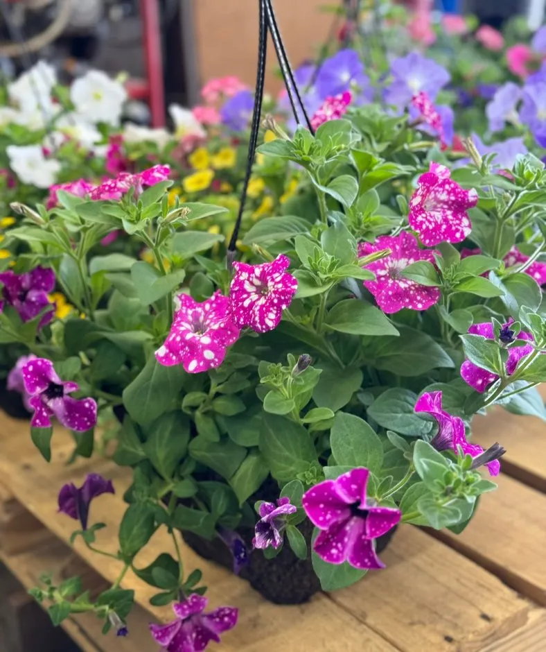 Expert residential landscaping in Spanaway, WA - G & L Bark Supply