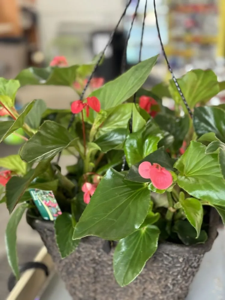 Top-rated landscape installation for outdoor upgrades in Spanaway, WA by G & L Bark Supply