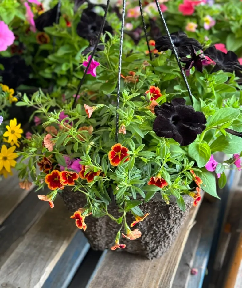 Local residential landscaping in Spanaway, WA - G & L Bark Supply