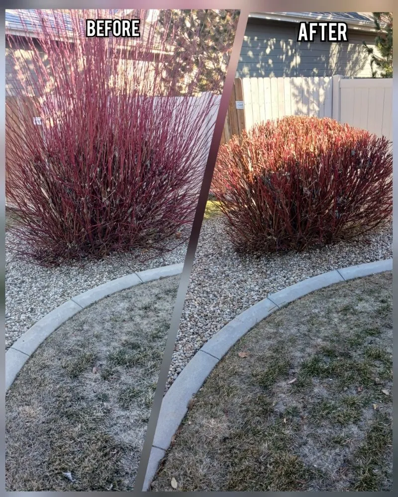 Reliable landscaping services in Nampa, ID by G & L Lawn Care