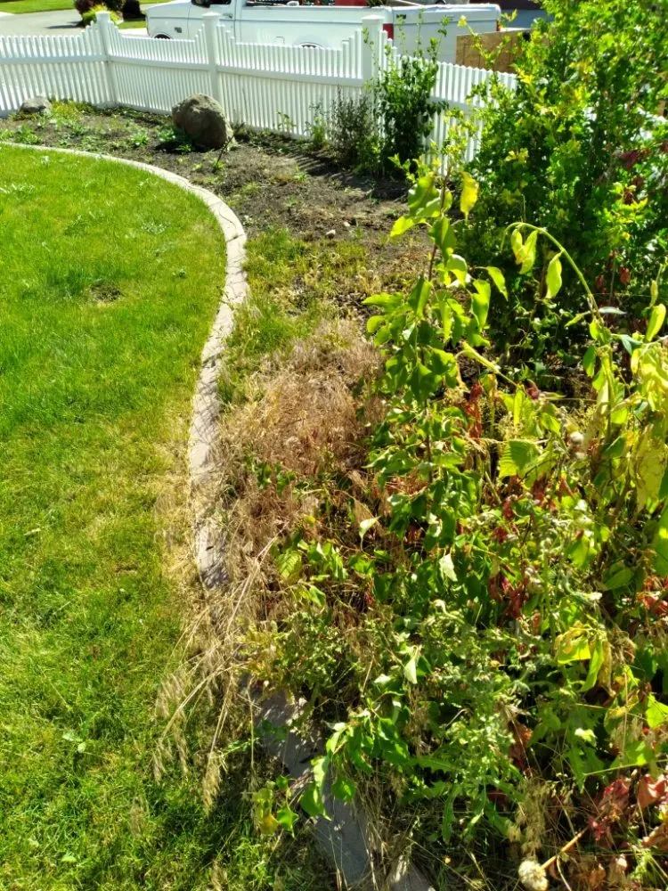Local yard cleanup service for outdoor upgrades across Nampa, ID - G & L Lawn Care