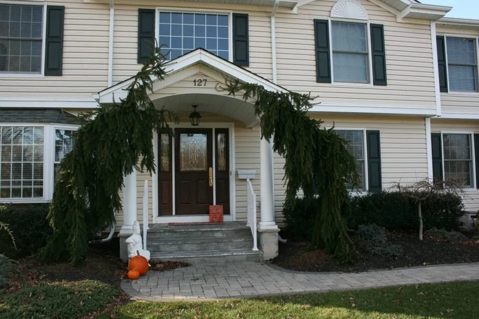 Custom lawn care service for beautiful yards in Farmingdale, NJ by G & L Lawn Service