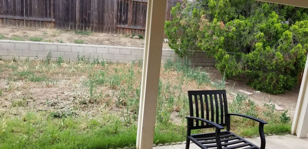 Custom landscaping services experts serving Riverside, CA - G & M Landscaping