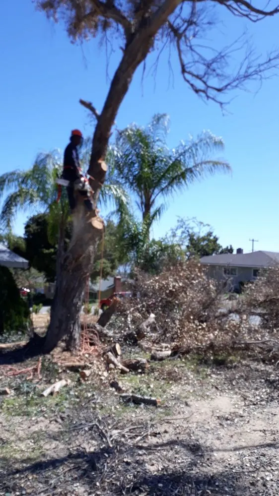 Affordable landscape installation in Riverside, CA by G & M Landscaping