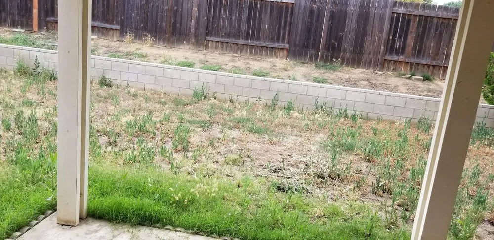 Affordable landscape design in Riverside, CA by G & M Landscaping