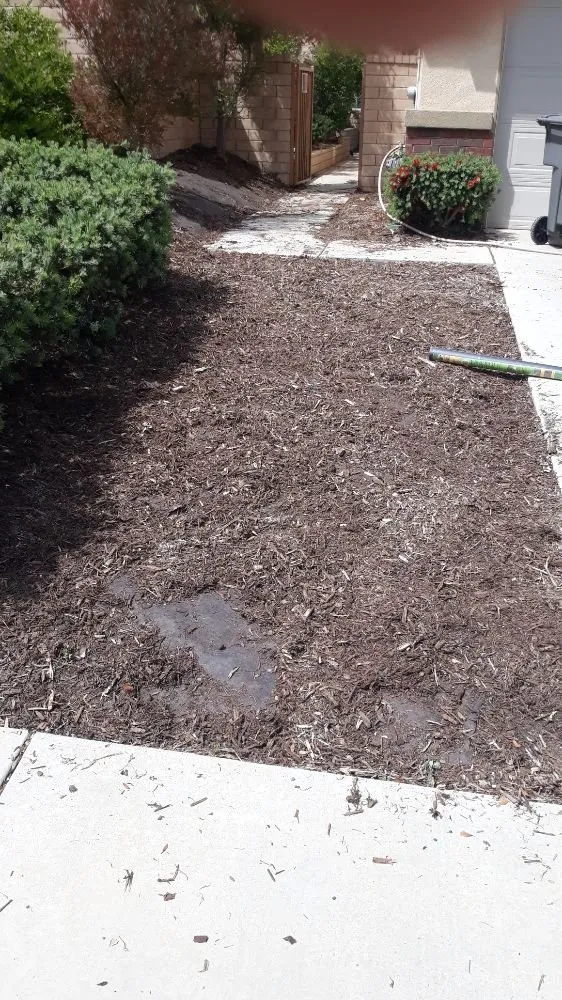 Expert yard cleanup service for outdoor upgrades in Riverside, CA by G & M Landscaping