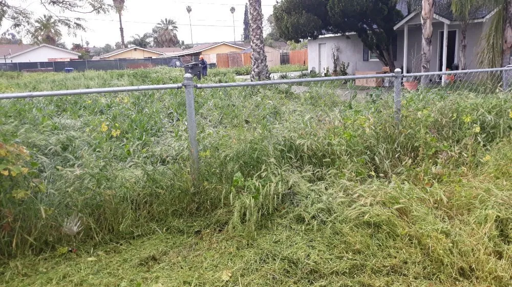 Custom yard maintenance in Riverside, CA - G & M Landscaping