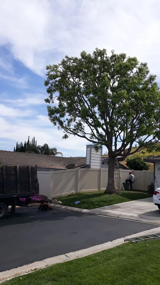 Affordable outdoor landscaping for year-round maintenance across Riverside, CA - G & M Landscaping