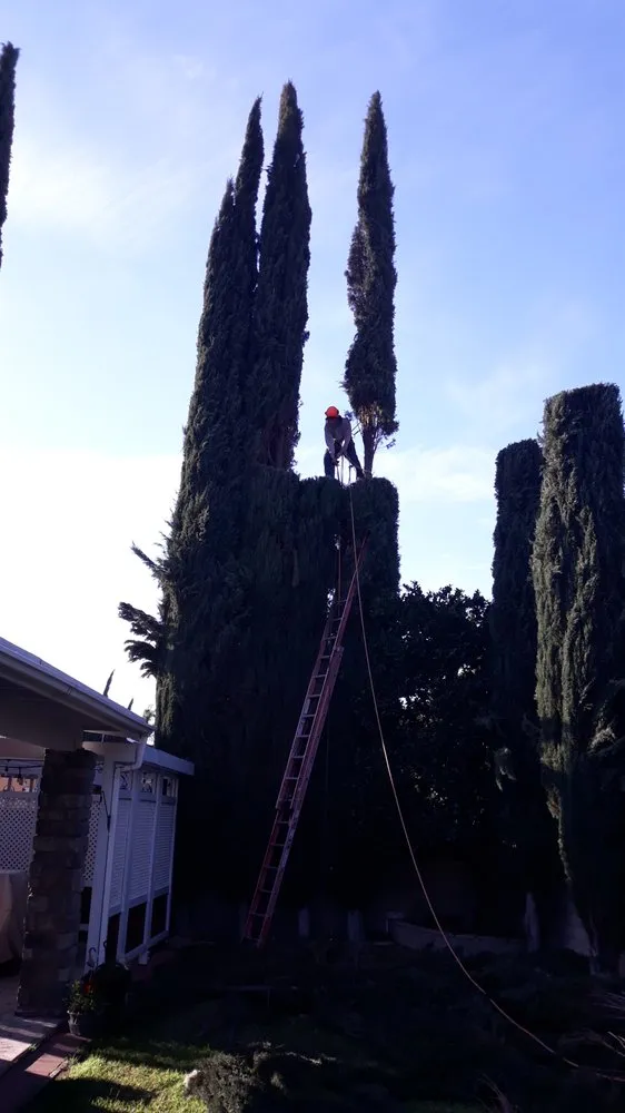 Custom garden landscaping in Riverside, CA by G & M Landscaping