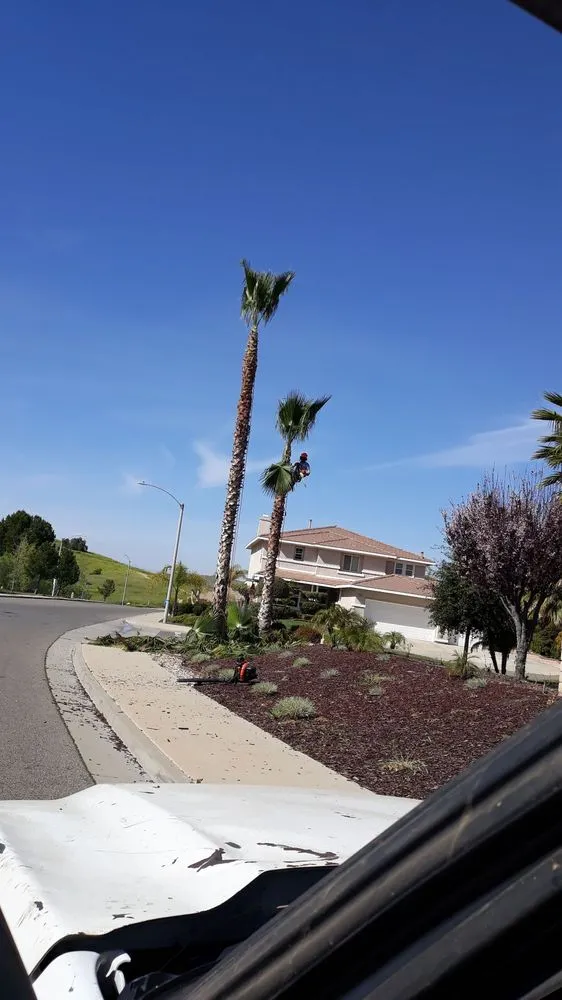 Affordable landscape design for homes across Riverside, CA - G & M Landscaping