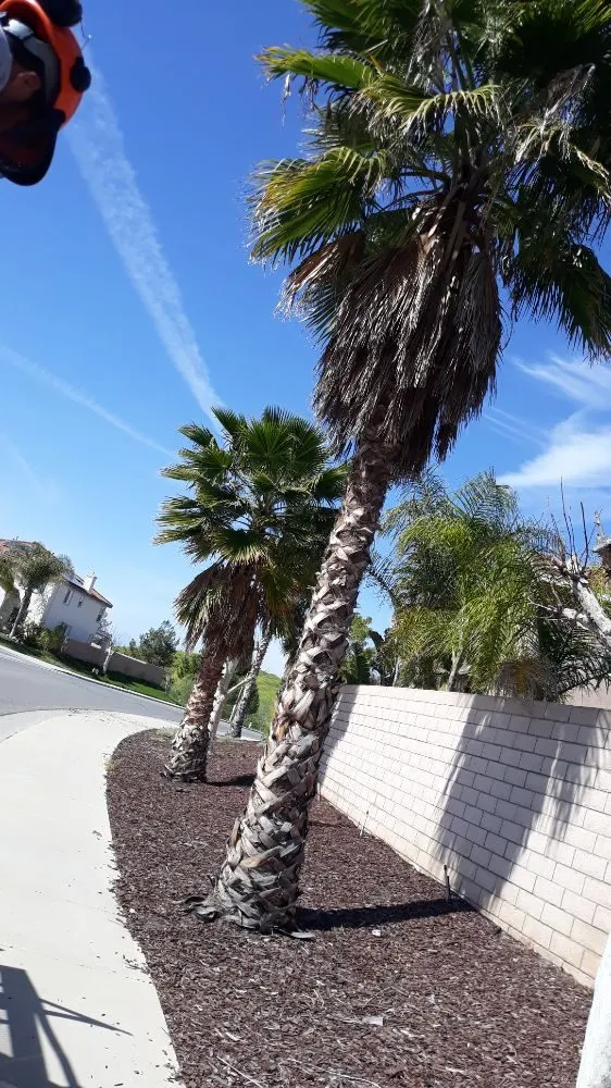 Local lawn mowing service for beautiful yards across Riverside, CA - G & M Landscaping