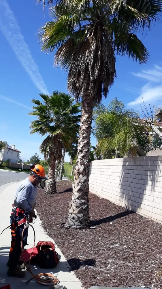 Custom landscape installation experts serving Riverside, CA - G & M Landscaping
