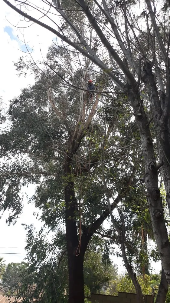 Local outdoor landscaping for residential properties in Riverside, CA by G & M Landscaping