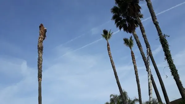 G & M Landscaping Logo