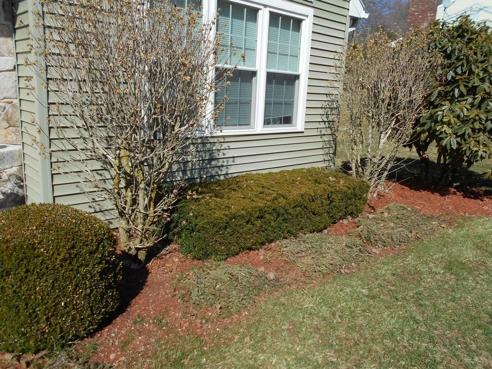 Top-rated yard cleanup service experts serving Thompson, CT - G & M Landscaping
