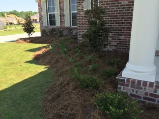 Professional lawn mowing service for residential properties across Des Allemands, LA - G & M Lawn Services