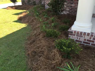 Affordable residential landscaping for year-round maintenance across Des Allemands, LA - G & M Lawn Services