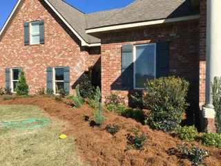 Expert yard cleanup service for year-round maintenance across Des Allemands, LA - G & M Lawn Services