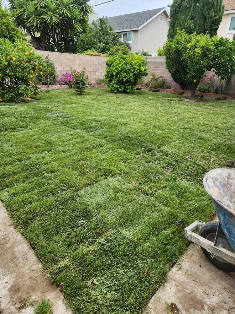 Trusted landscape design experts serving Garden Grove, CA - G & R Construction