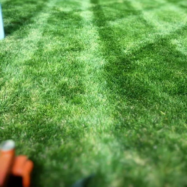 Top-rated lawn mowing service in Wylie, TX - G & R Landscaping