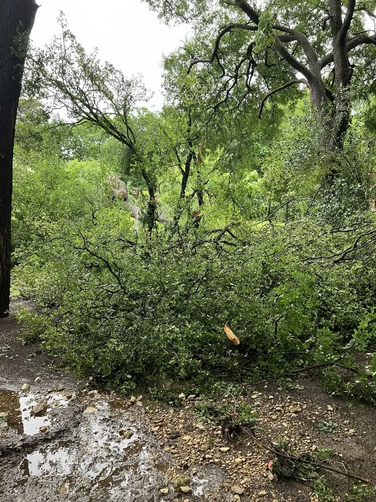 Reliable landscape installation in Waco, TX by G & R Lawn Services