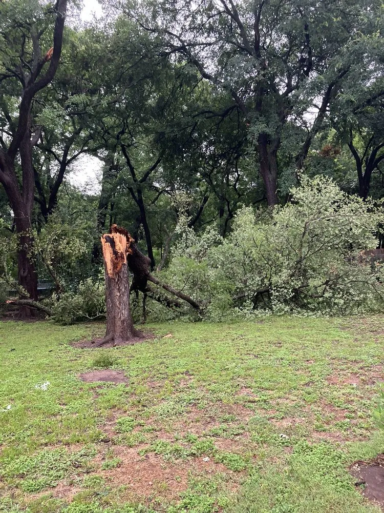 Reliable outdoor landscaping for beautiful yards in Waco, TX by G & R Lawn Services