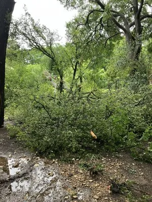 G & R Lawn Services Logo