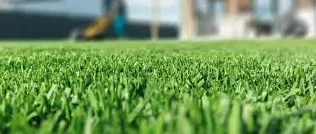 Expert lawn care service in Alice, TX by G & R Services