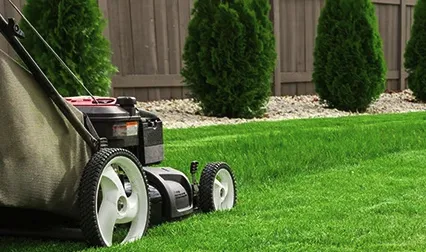 Affordable landscaping services experts serving Alice, TX - G & R Services