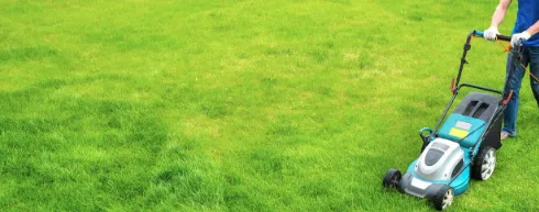 Local yard cleanup service in Alice, TX by G & R Services