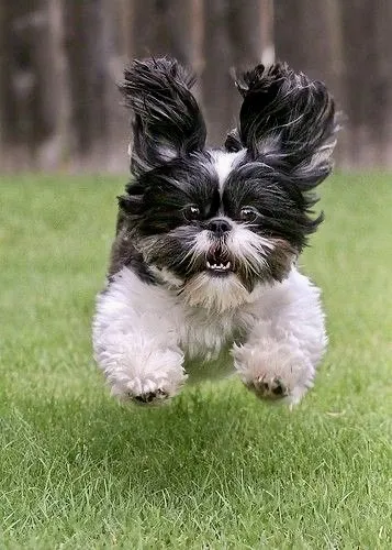 Professional landscape design for outdoor upgrades across Day Heights, OH - G & R's Xtreme Lawncare