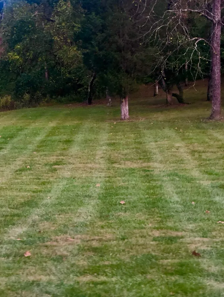 Expert outdoor landscaping near you in Day Heights, OH by G & R's Xtreme Lawncare