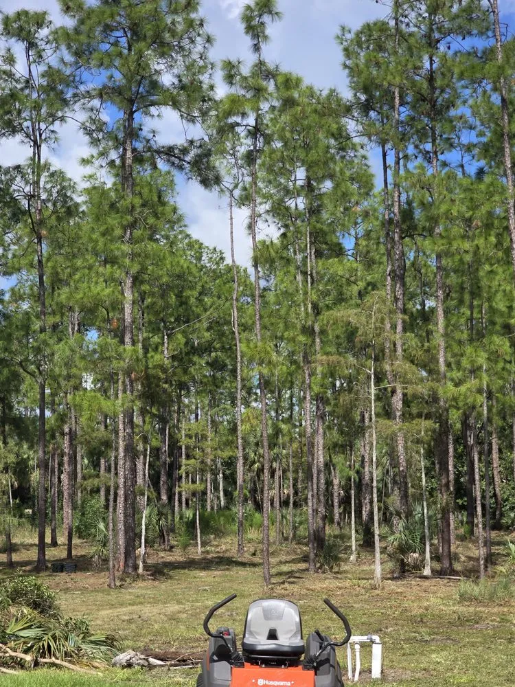 Affordable landscaping services for homes across Naples, FL - G & S Beautiful Paradise