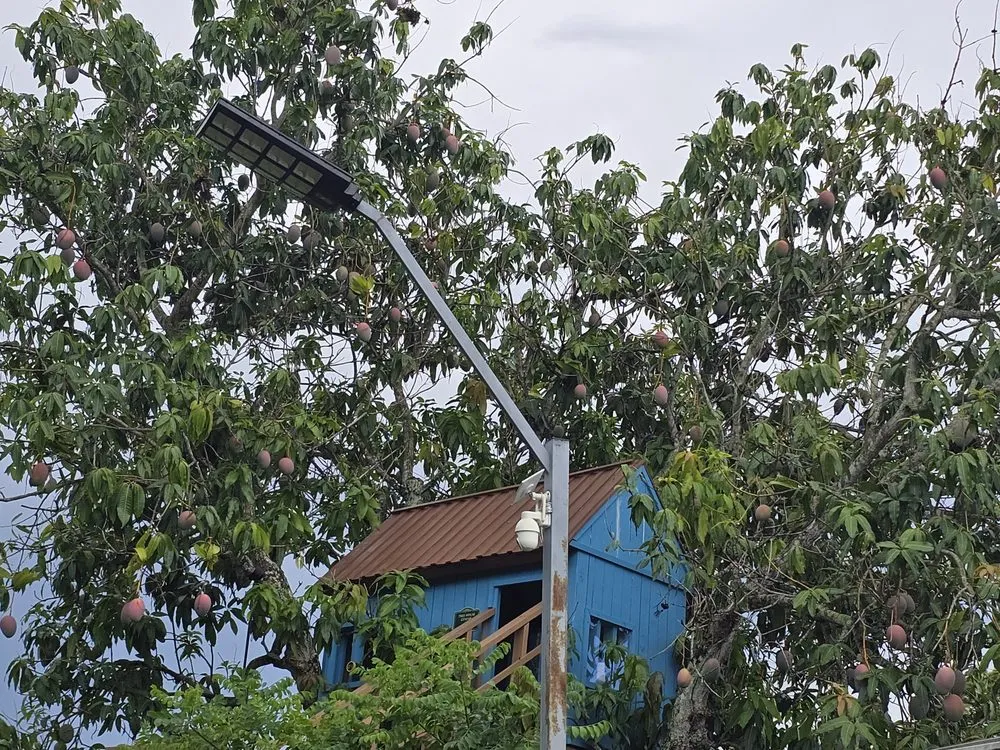 Local residential landscaping in Naples, FL by G & S Beautiful Paradise