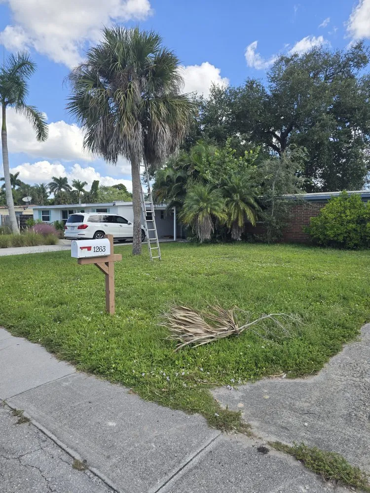 Local yard maintenance for outdoor upgrades across Naples, FL - G & S Beautiful Paradise