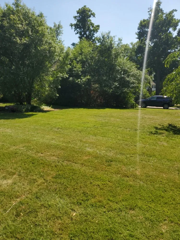Custom landscaping services in Cleveland, OH - G & S Landscaping