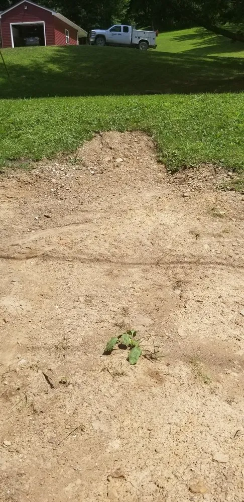 Reliable yard cleanup service for residential properties in Sardis, OH by G & S Landscaping