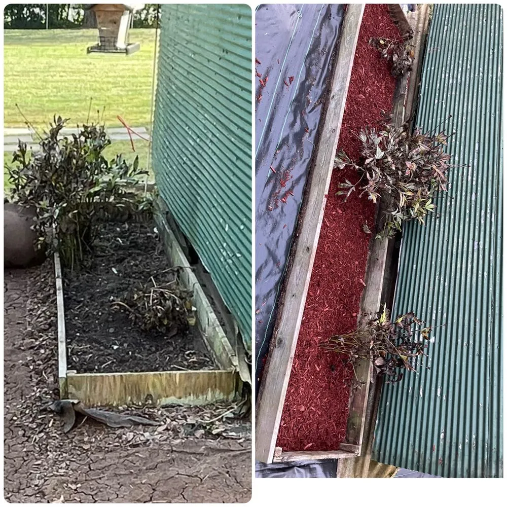 Local yard cleanup service for outdoor upgrades across Parkersburg, WV - G & S Lawn Services