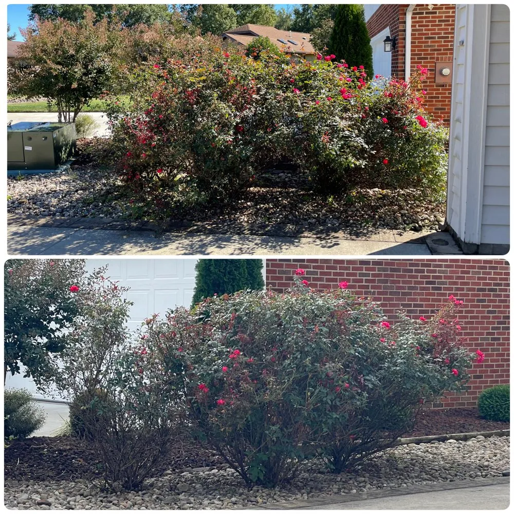 Trusted residential landscaping in Parkersburg, WV - G & S Lawn Services